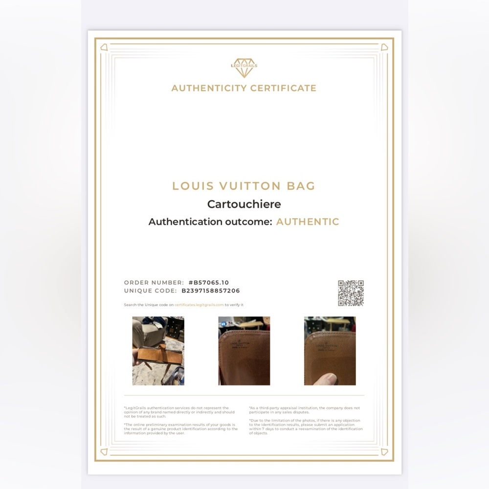 Louis Vuitton Cartouchiere MM Crossbody with COA (painted leather) - Picture 16 of 16
